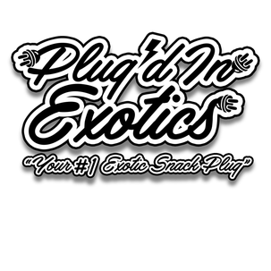 Plug’d In Exotics logo design